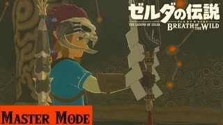 【実況】昔諦めたチャレンジ【ゼルダの伝説 ブレスオブザワイルド】＃24