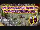 【タクティクスRPG】各国の最強戦士達が集う！間違いなくこれは激熱イベント！#03【トライアングルストラテジー/TRIANGLE STRATEGY】