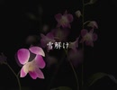 雪解け（DECOY）らー（・・）初音ミク