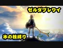 【ゼルダの伝説BoW】木の枝縛りでどこまでいけるか検証してみた