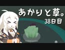 【VIRIDI】あかりと草。38日目【VOICEROID実況】