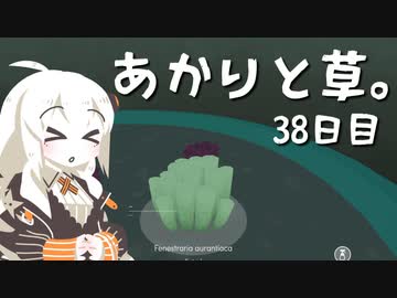 【VIRIDI】あかりと草。38日目【VOICEROID実況】