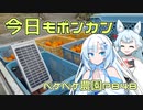2023年12月19日　農作業日誌P848　今日も今日とて出稼ぎ先でポンカンの収穫