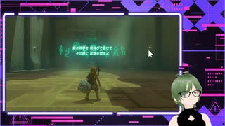 戦闘が下手【ゼルダの伝説 ティアーズ オブ ザ キングダム】＃６