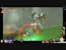 ⌘プレイアーカイブ⌘ ハイラルソード その299