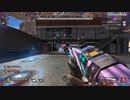 自分たちの射撃訓練場の遊び方 【APEX】【キャラコン】
