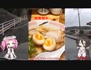 管釣りでクリアルアーが釣れるかちょっと試してラーメンを奢ってもらえるよう努力する！【VOICEROIDフィッシング】四国めたんと中国うさぎ