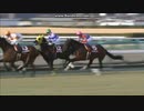 2014 ホープフルステークス (GII)　シャイニングレイ