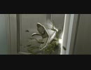 【リバース:1999】城の中