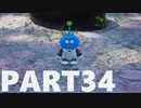 【のんびり実況】ピクミン４【PART34】