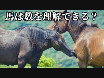 計算ができた馬【クルーガーハンス実験】ずんだもん