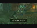 #65【ゼルダの伝説 ブレス オブ ザ ワイルド】雪原にその軽装はあかん！