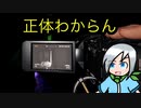 結局わからないときはわからない調査員〈Phasmophobia〉