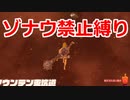 ゾナウ禁止縛りpart8【ティアキン/制限プレイ/ゼルダの伝説ティアーズオブザキングダム】