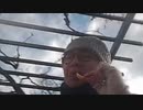 シケキノコ 2023/12/20(水) 14:35開始 ^^hello welcome to mush room~ﾔﾂﾗ被害者の会代表しわしわきのこの苦しみ‥‥‥＾＾