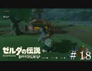 第二回野生馬手なずけ選手権　優勝【ゼルダの伝説ブレスオブザワイルド】#18