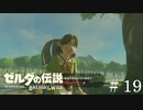 お花踏んだらキレらえた【ゼルダの伝説ブレスオブザワイルド】#19