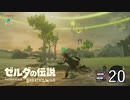 エレキ強すぎて無理。【ゼルダの伝説ブレスオブザワイルド】#20