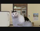 【韓国縦断旅行】ささつづ歩いて國土大長程　#00 ～國土大長程ってどう読めばいいの？～