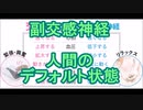 副交感神経