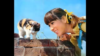 ♪「猫と私」藤圭子