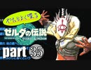 やたらよく喋る騎士 part35【ゼルダの伝説Tears of the Kingdom】