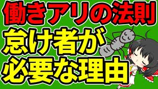 奴隷を使う！？なぜ蟻の世界で怠け者は許されるのか？【ゆっくり解説】