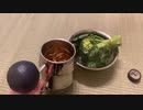 健康なハイボール作ってみた【食事】【運動】【睡眠】