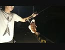 【グレコフィッシング】いかりのぶっこみ釣り【2021年7月18日】