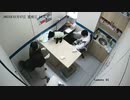 ホモと見る獣医を糞まみれにする犬