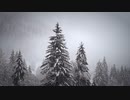 フルートアレンジ『もみの木』