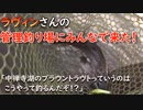 【ラヴィンさん☆ニコニコ管釣り部】管理釣り場にみんなで来た！【管理釣り場エリアフィッシング入門】2019/12/02