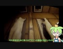 【自撮】廃墟の家に行って動画撮影をするずんだもん【ずんだもん】