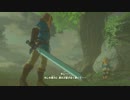 ゼルダの伝説　ブレス オブ ザ ワイルド　実況プレイPart134