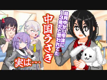 結月ゆかり雫達に13歳だと思われてた中国うさぎ、実は…【ソフトウェアトーク劇場　羽ノ華　高遠咲】