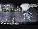 最近健康診断とかあった？（VS純白の騎士）　[Hollow Knight]