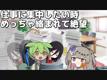 【日常】仕事に集中したい時、めっちゃ絡んでくるインターン生