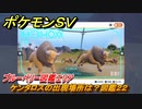 ポケモンＳＶ　ケンタロスの出現場所は？図鑑２２　ブルーベリー図鑑エリア　＃１７８　【DLCゼロの秘宝　碧の仮面・藍の円盤】