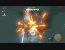 初プレイ、ハート縛りでクリアするゼルダの伝説ティアーズオブキングダム【2023年10月7日放送2部】14/16