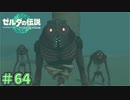 生まれ方がキモイな　「ゼルダの伝説～ティアーズ・オブ・ザ・キングダム」　＃64