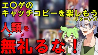 【リターンズ】エ〇ゲの名作キャッチコピーを楽しもう