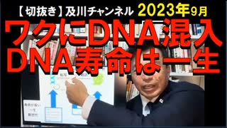 2023年9月情報　RNAの寿命は数日だが、DNAの寿命は一生。ワクに混入していたDNAが体内に注射された場合の寿命は未知･･･。