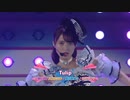 異次元Tulip