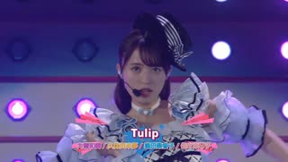 異次元Tulip