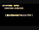 紅子の宇宙船 －音声版－ 2023年12月22日
