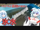 2023年12月22日　農作業日誌P851　凍ってしまうような寒い朝に野菜収穫したが・・・
