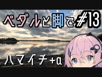 【自転車車載】ペダルと脚で #13 - ハマイチ（浜名湖一周）+α