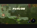 #67【ゼルダの伝説 ブレス オブ ザ ワイルド】アッカレの塔攻略！