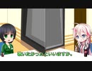 cevi_song