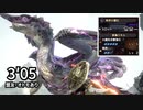 【克服オオナズチ300✕チャアク】秩序の護石でも活躍できるでやんす